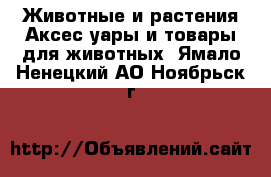 Животные и растения Аксесcуары и товары для животных. Ямало-Ненецкий АО,Ноябрьск г.